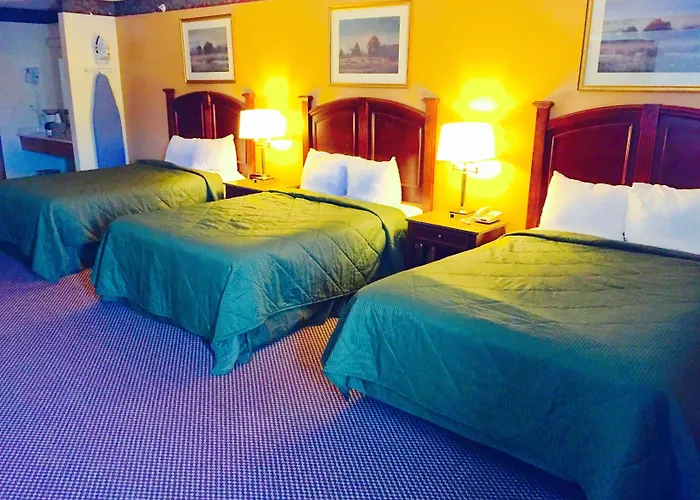 Hotel Executive And Waukegan