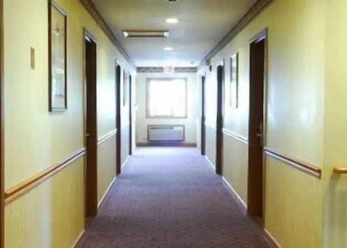 Executive And Waukegan