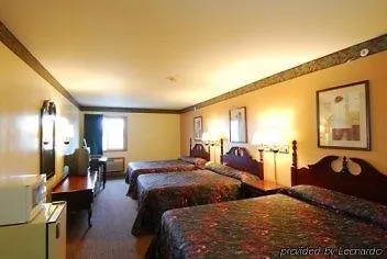 Executive And Hotel